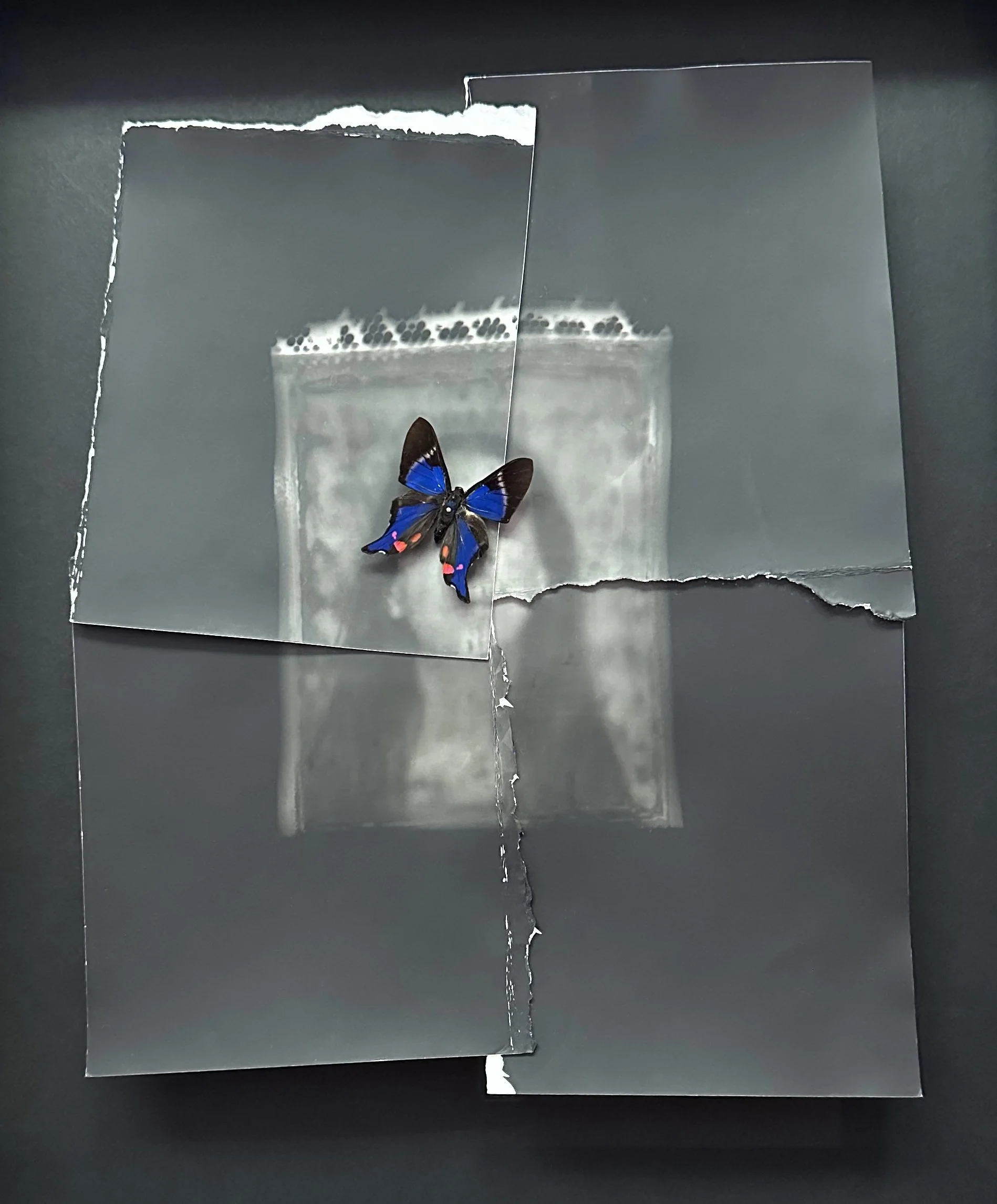 "Dreaming Awake" :: Honorable Mention :: Fast Forward, Los Angeles Center of Photography, Jurors, Aline Smithson, Dr. Rotem Rozental, April 2026