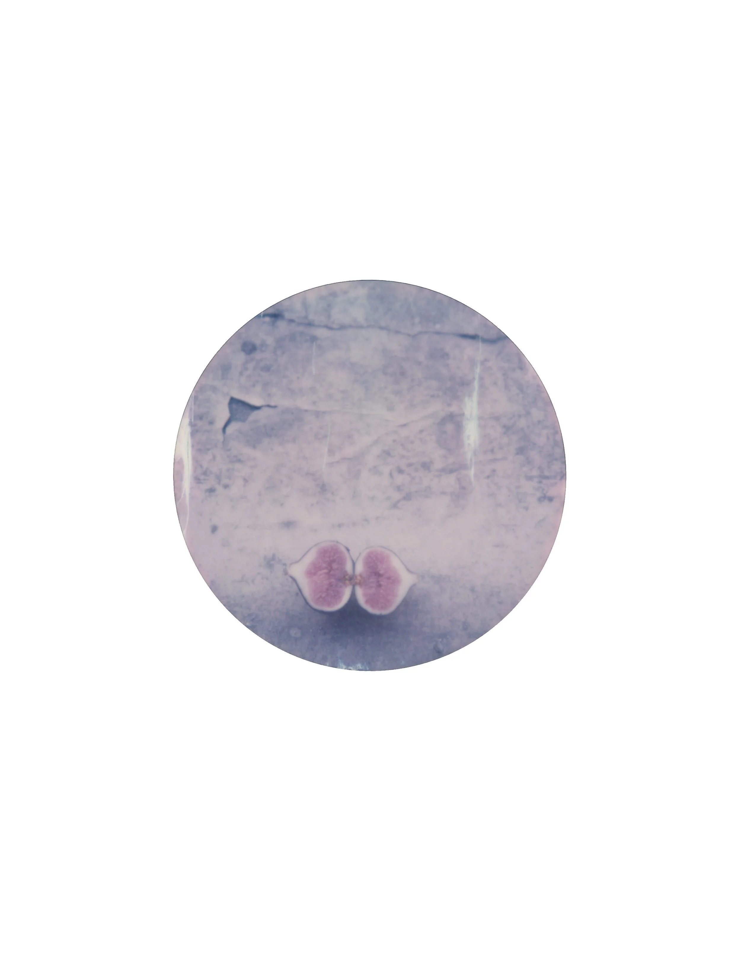 fig_8x11+Brighter.jpg