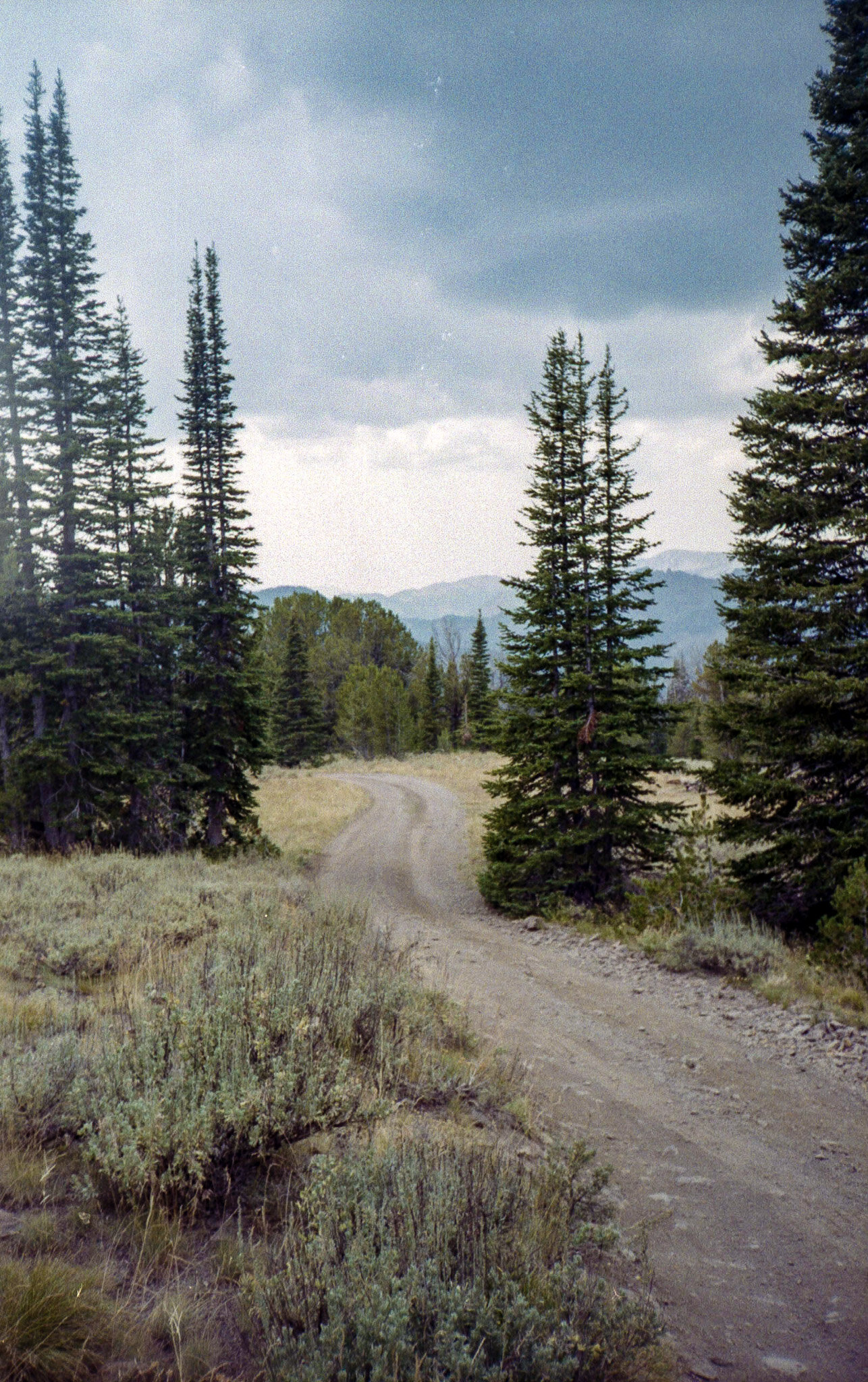 Canon Snappy LxII, Fujifilm C200, V550, Galena Summit, ID