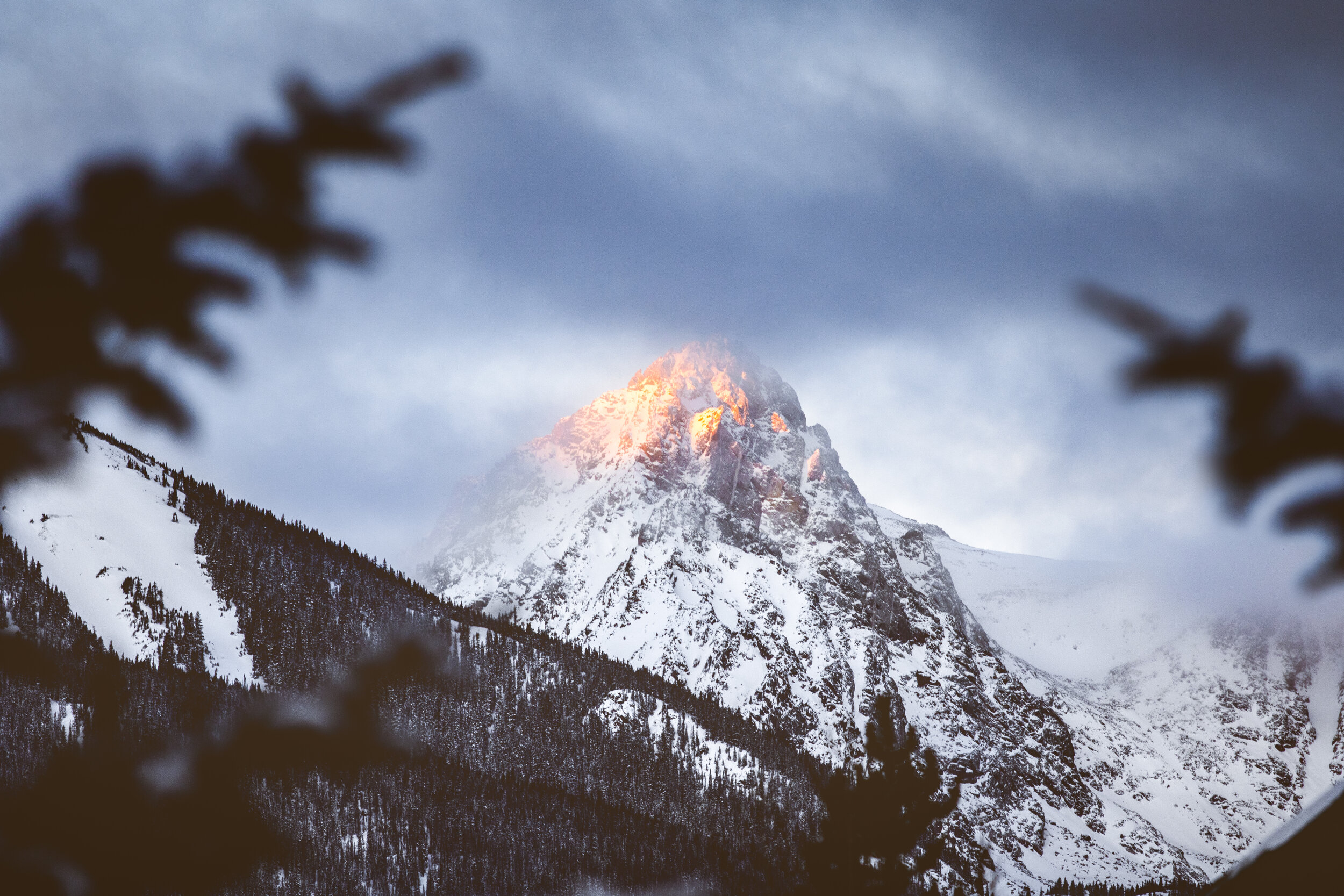 Canon 7D MarkII, Canon 70-200mm F2.8 USM, Silverthorne CO, 2020