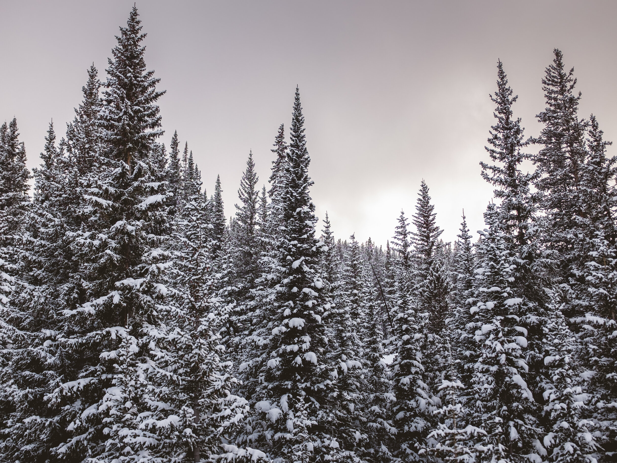 Fuji X100s, Copper Mountain CO, 2021