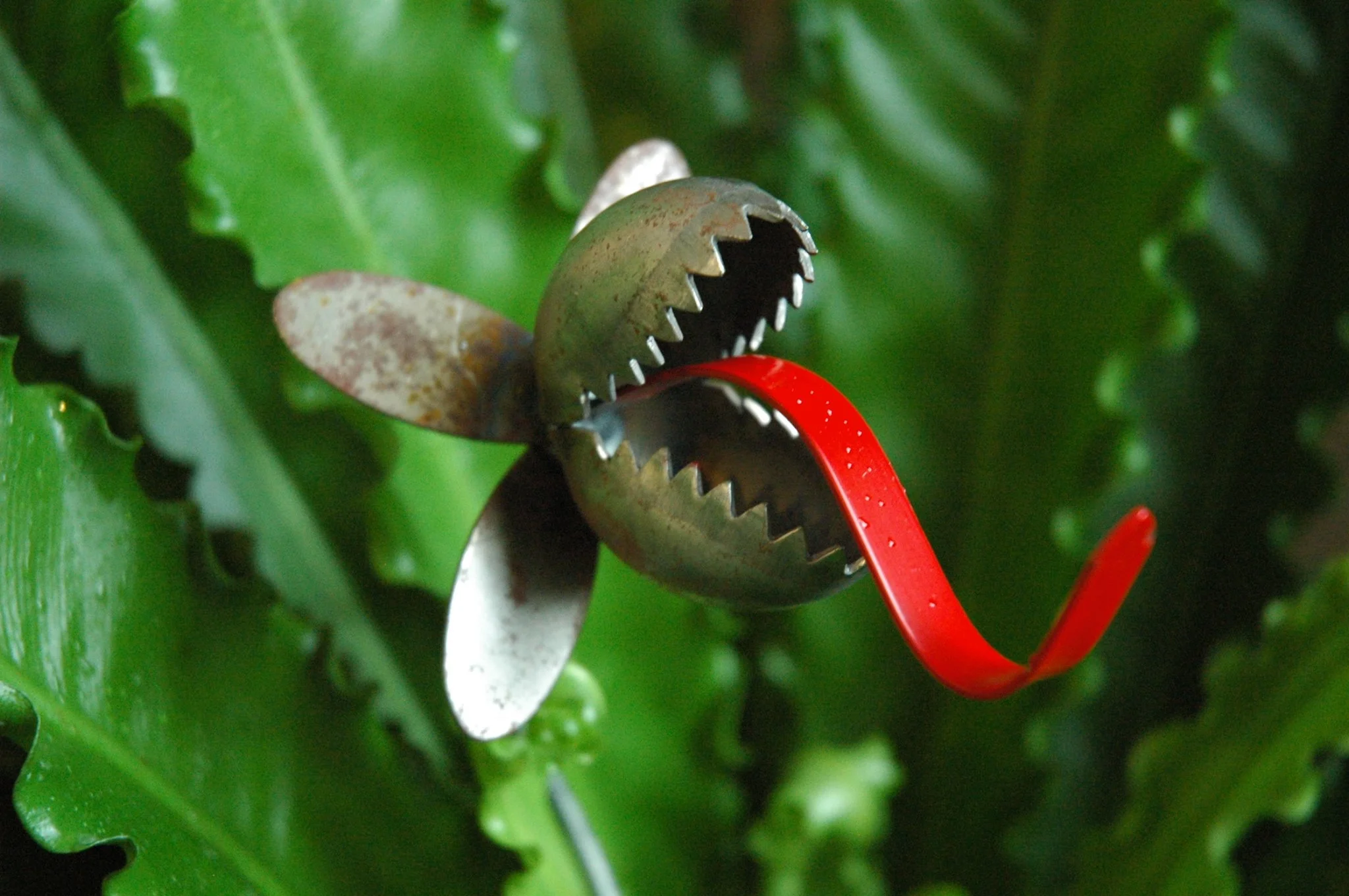 Green Envy saves time and money by automating their accounting.