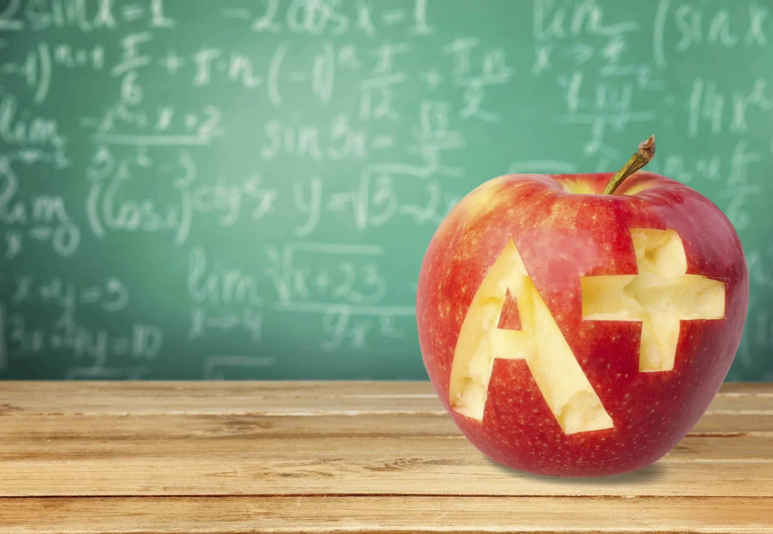 Why Learning the Fundamentals of Accounting is Essential to Small Business Survival