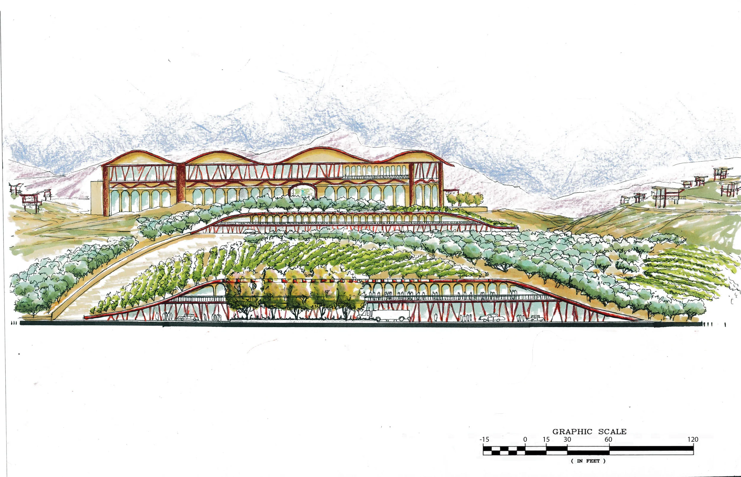 vineyard elevation scaled.jpg