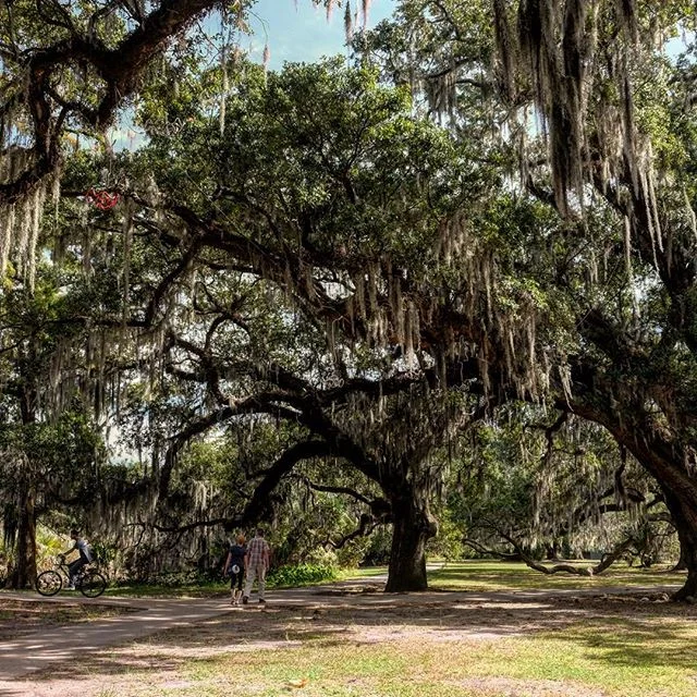 5 days in this incredible city was not enough. #NOLA #ASLA2016