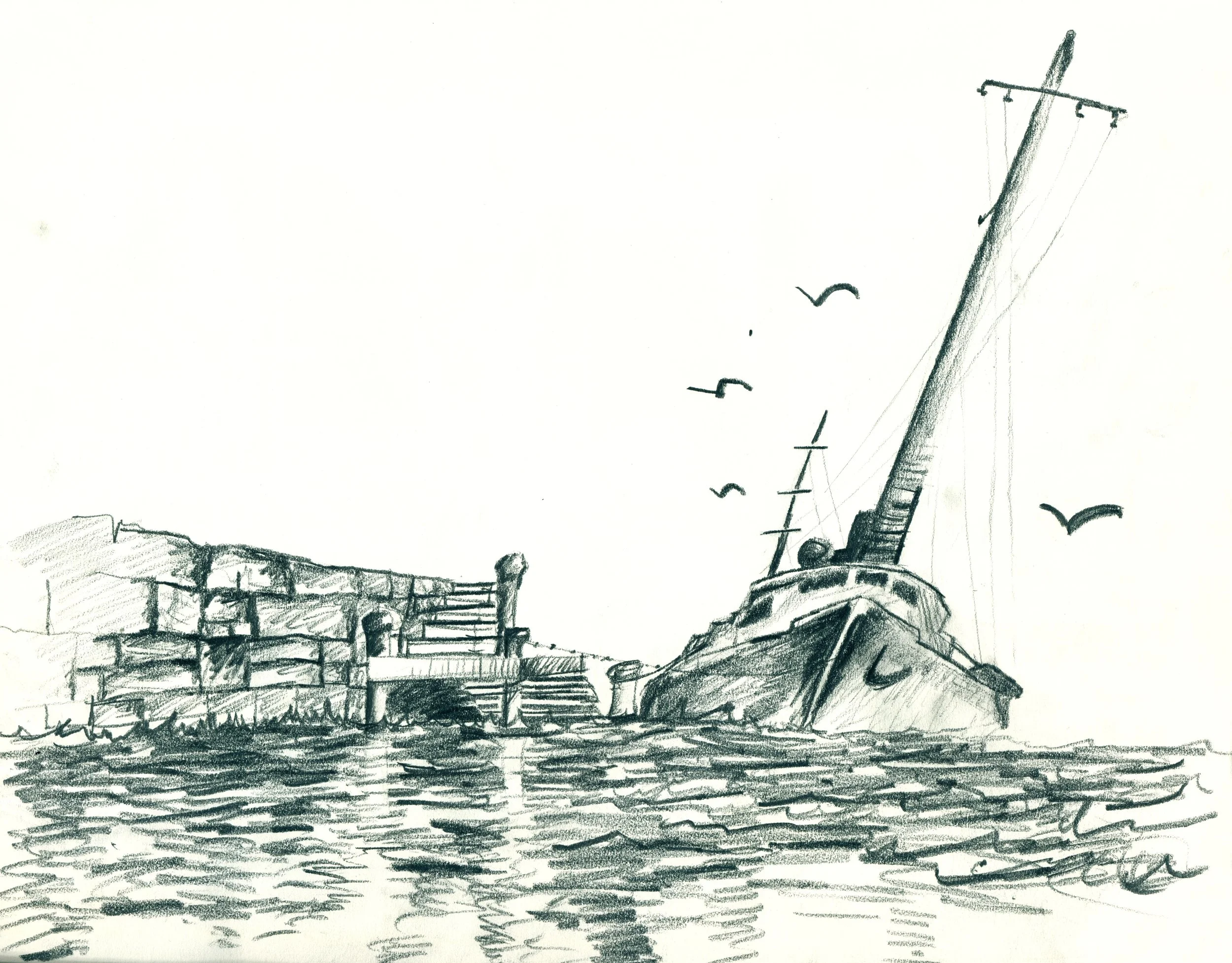 tom wang study 3.jpg