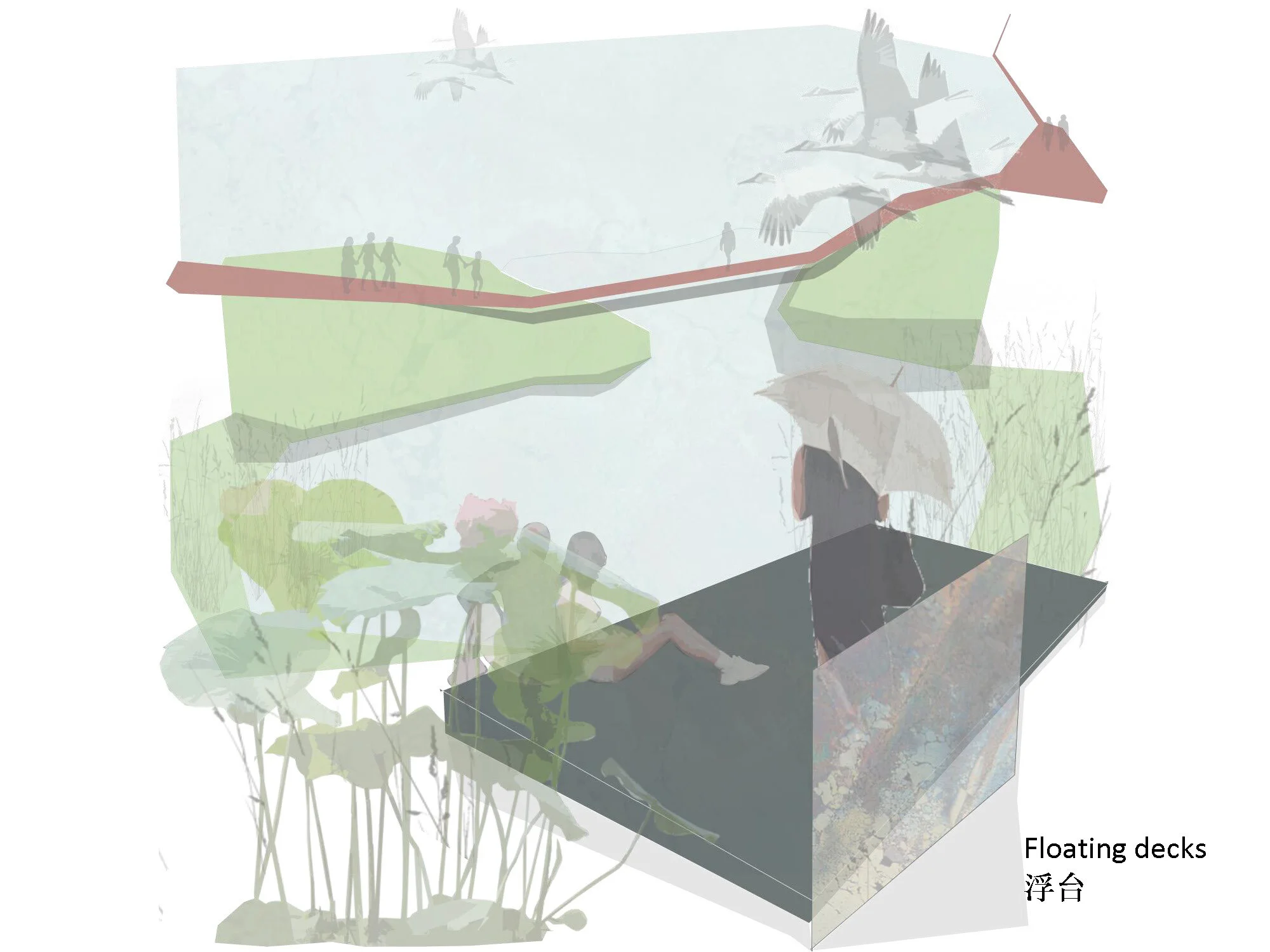Acuaponic Acuaponding_Page_29.jpg