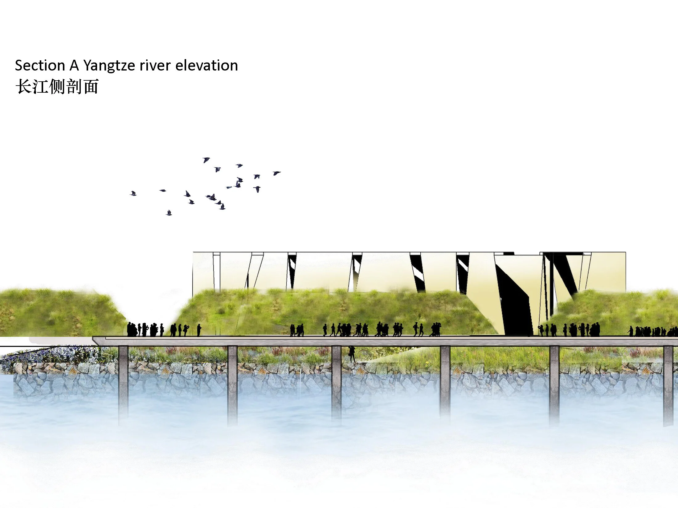 Acuaponic Acuaponding_Page_35.jpg