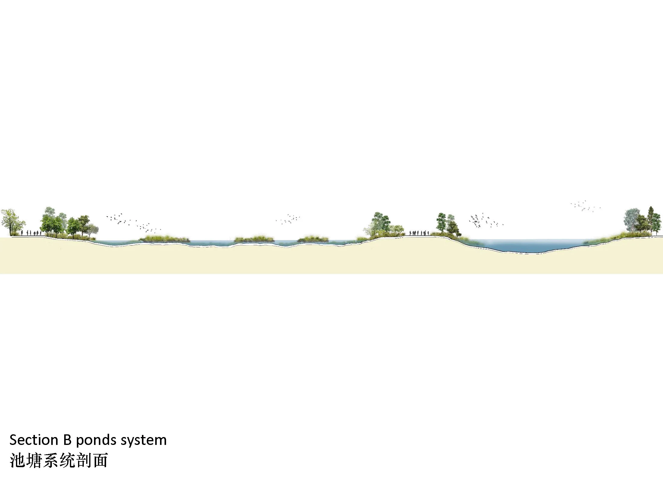 Acuaponic Acuaponding_Page_39.jpg