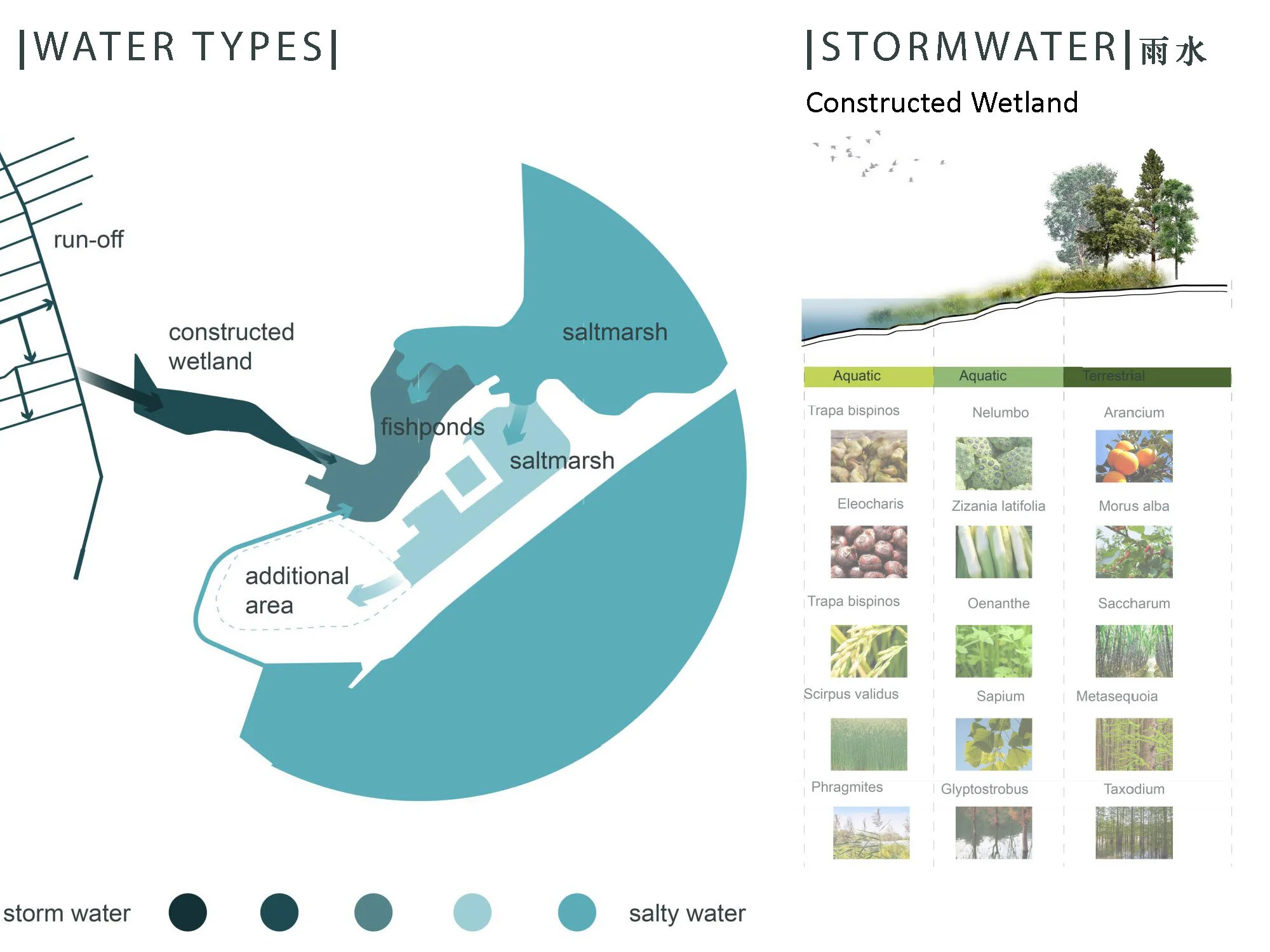 Acuaponic Acuaponding_Page_41.jpg