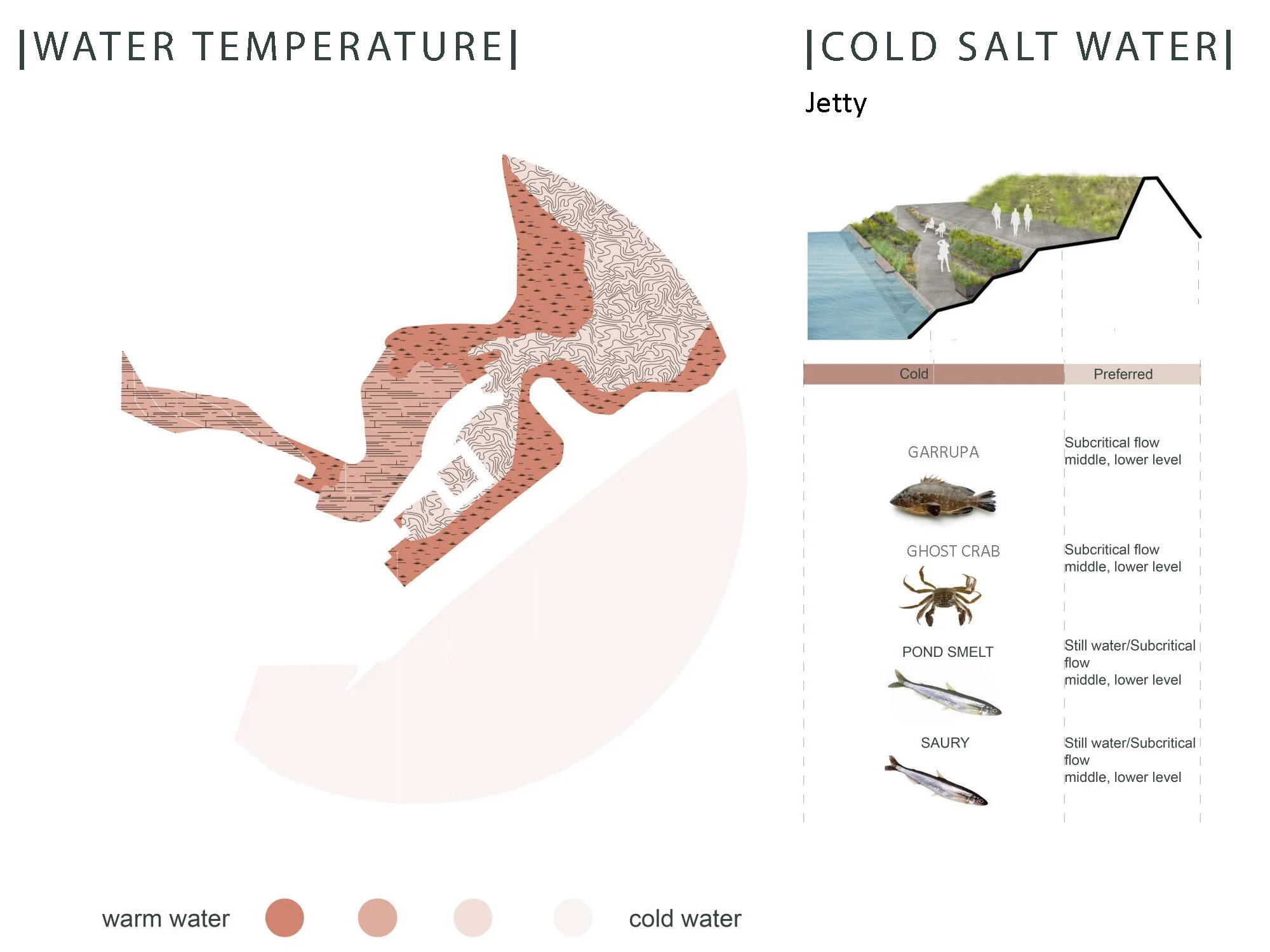 Acuaponic Acuaponding_Page_47.jpg