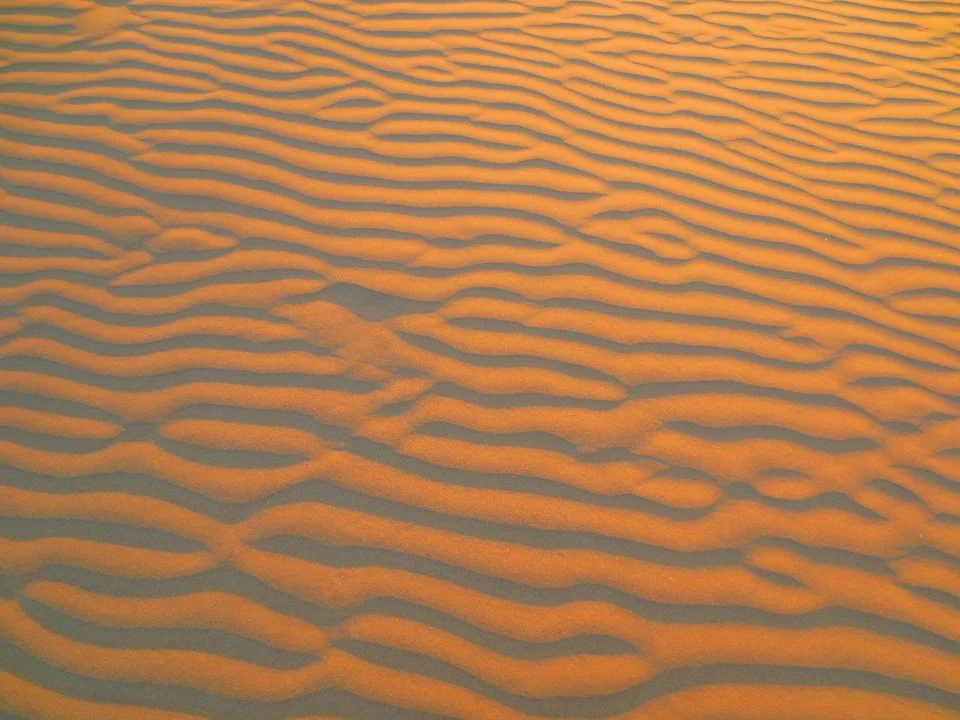 12963768_10102991443440650_5958575861101026155_n.jpg