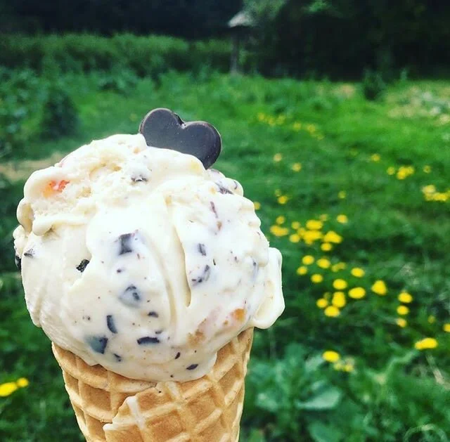 take-a-fancy-ice-cream.jpg