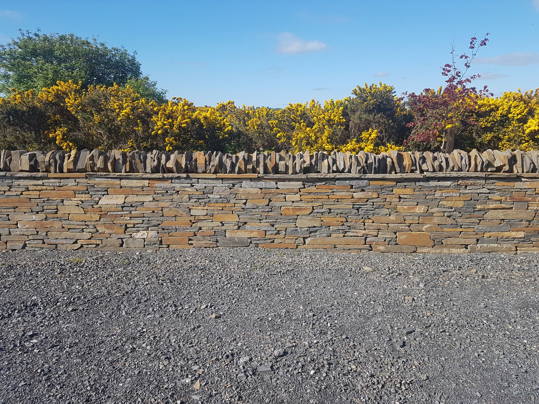 Caithness stone wall