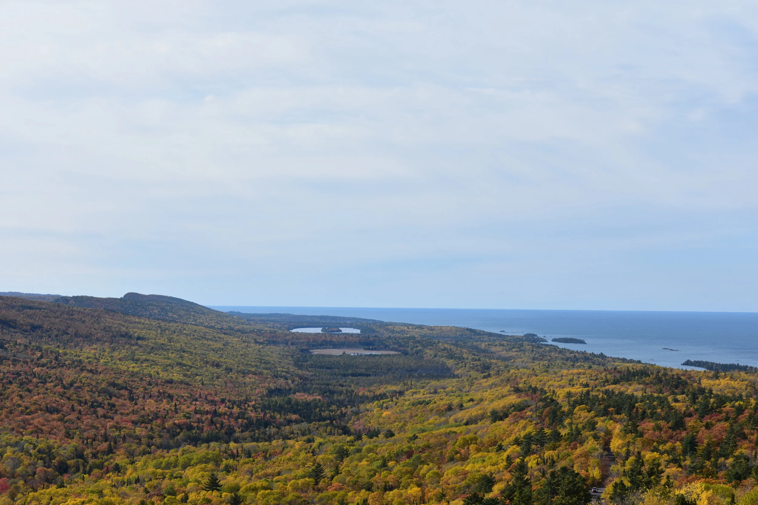 Seeking Unique E-commerce Expertise