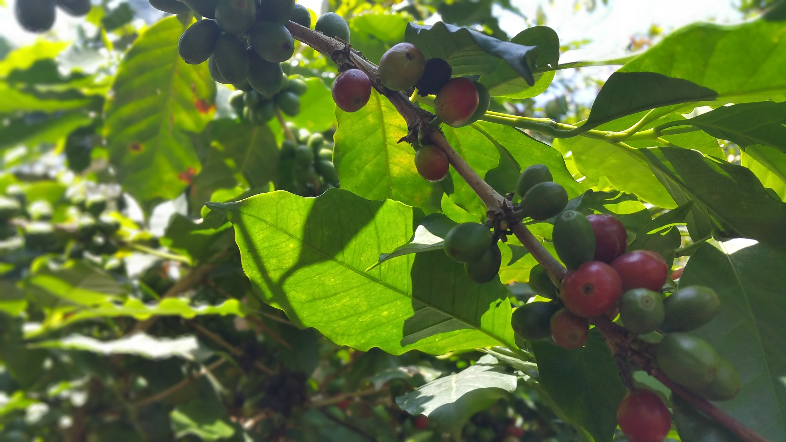 20150902_111834.jpg