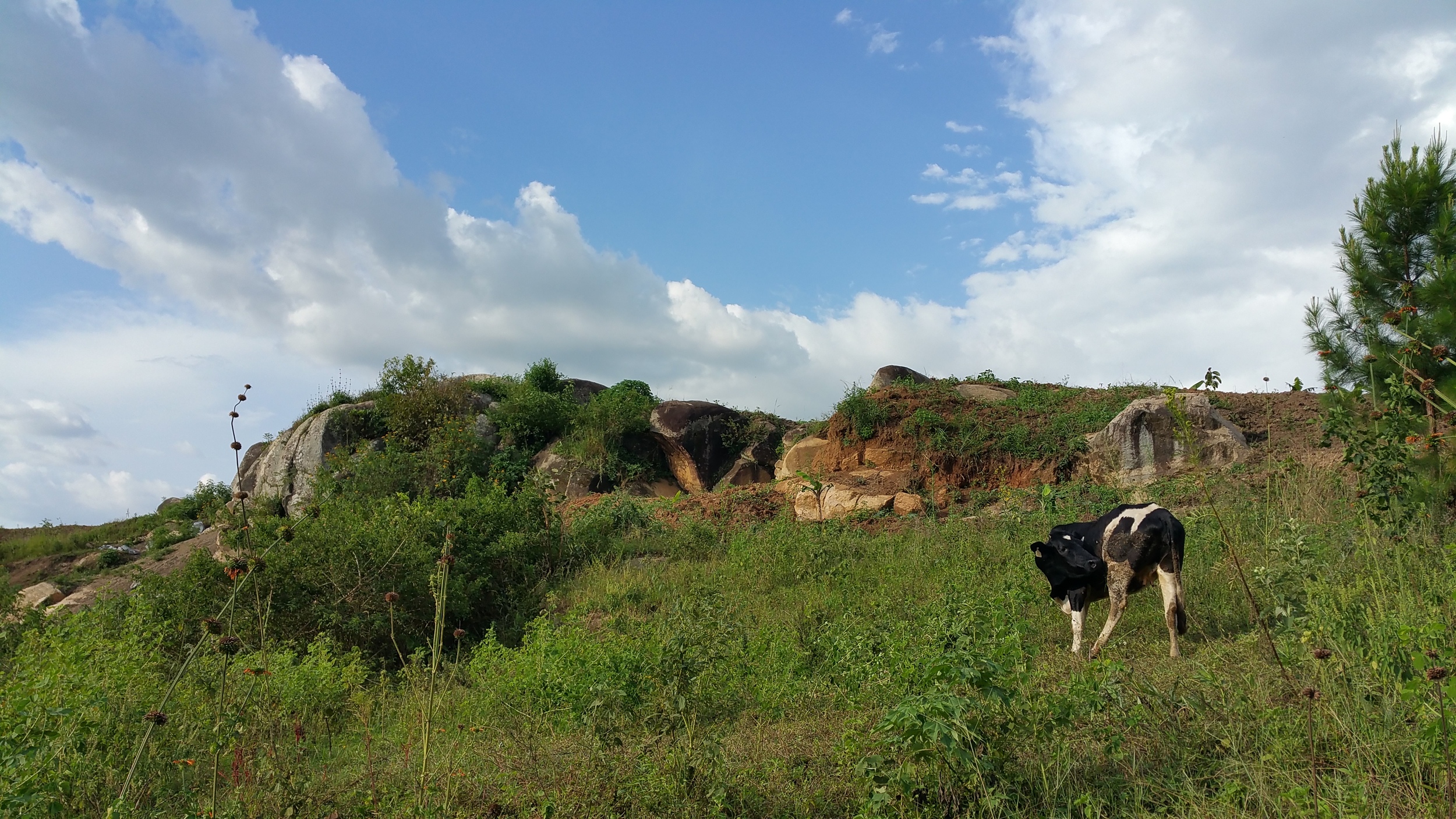 20150905_171034.jpg