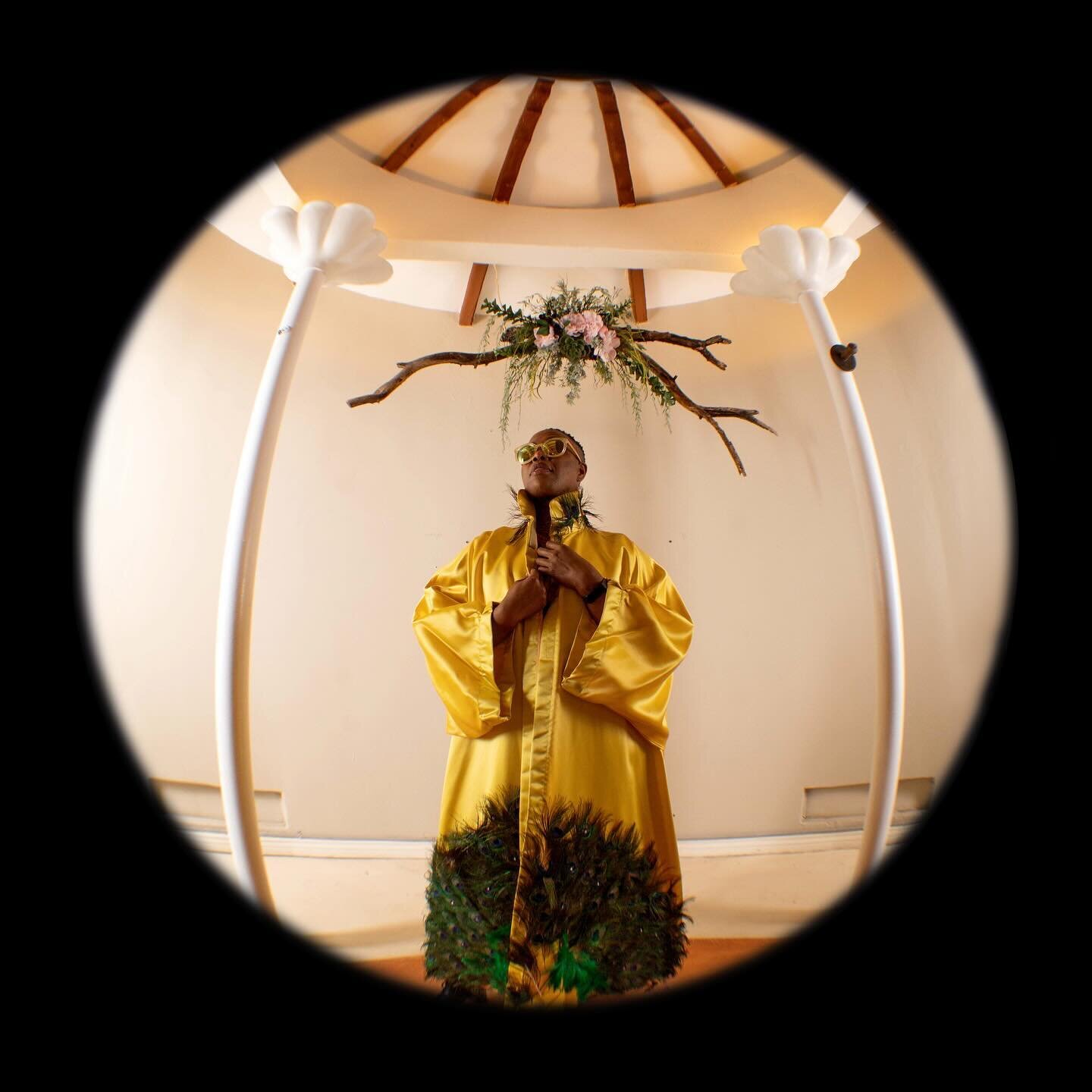 The fabulous @tenderhearted_quest in my Peacock cape at the @historicbatesmansion 
Definitely scroll to the end (it’s fabulous) and come see more of my work at @tucsonerotica opening night March 2nd!
#dragking #drag #peacock #peacockfeathers #