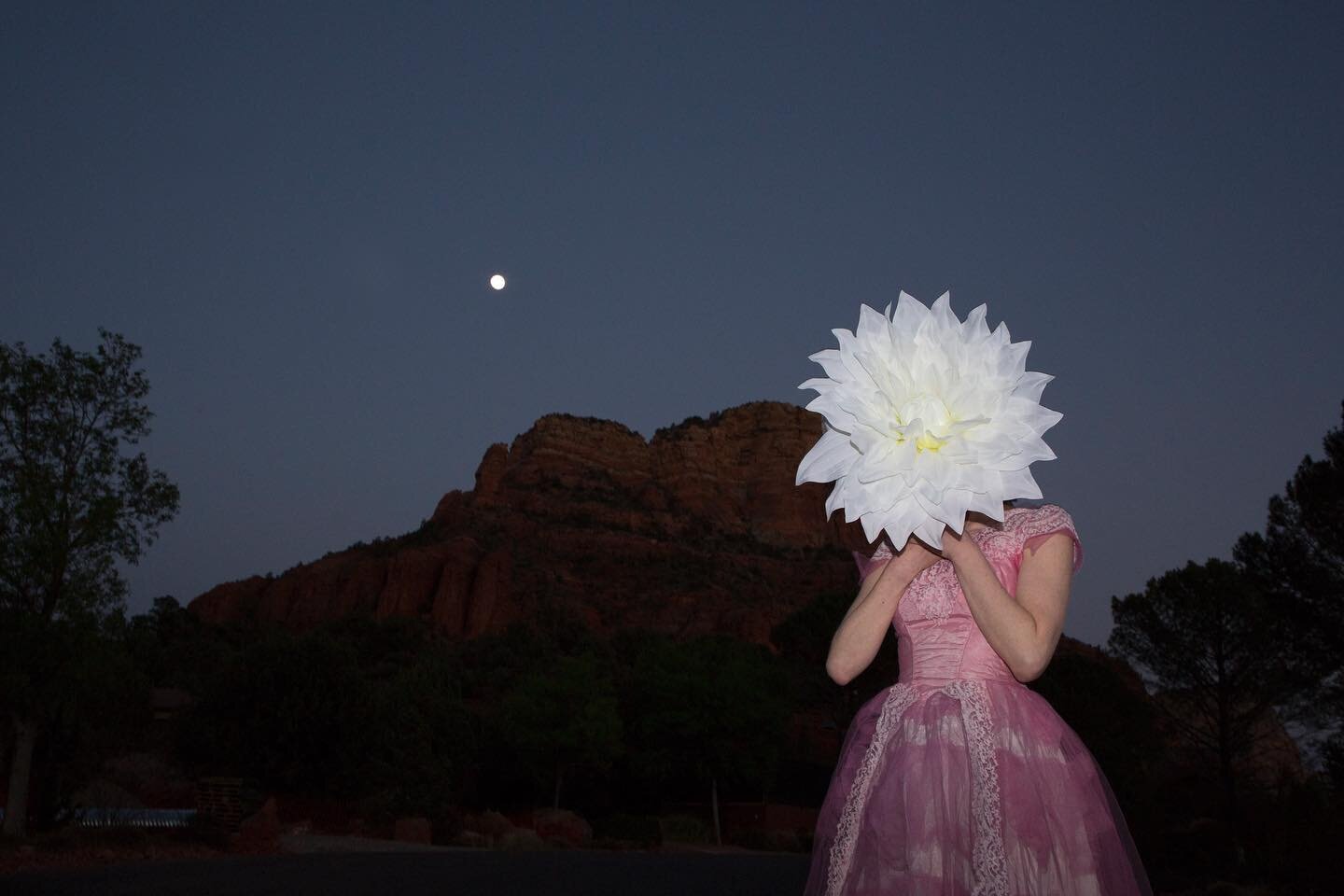 Flowers grow strange 
these nights 
under the full moon. 

From our road trip to the Grand Canyon with the incomparable @larabug9 

#surrealportrait #creativeportrait #portrait #artportrait #bigsky #fullmoon #grandcanyon #bigflowers #brooklynphotogra