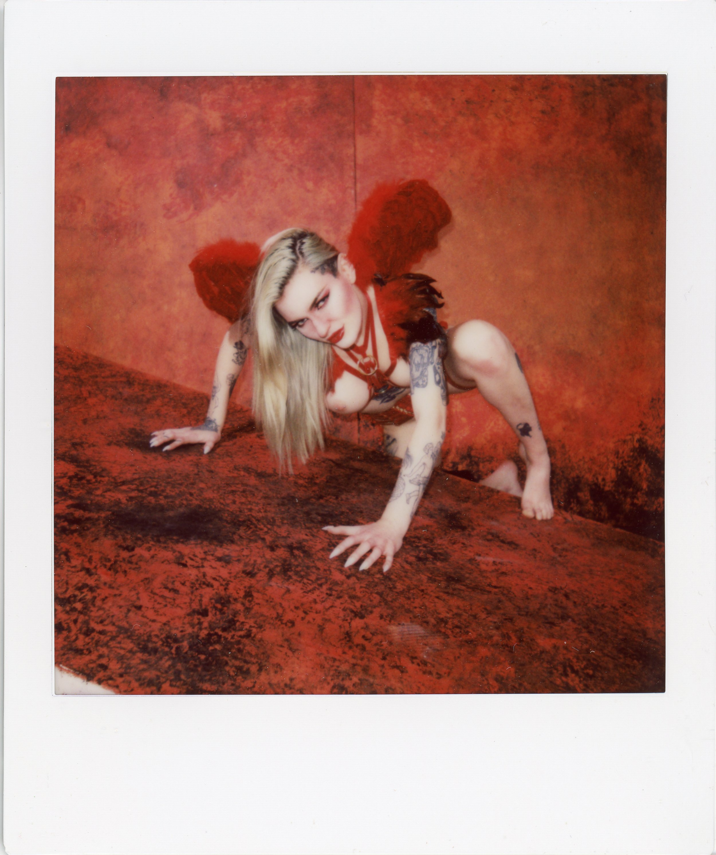 torro vday polaroid.jpg