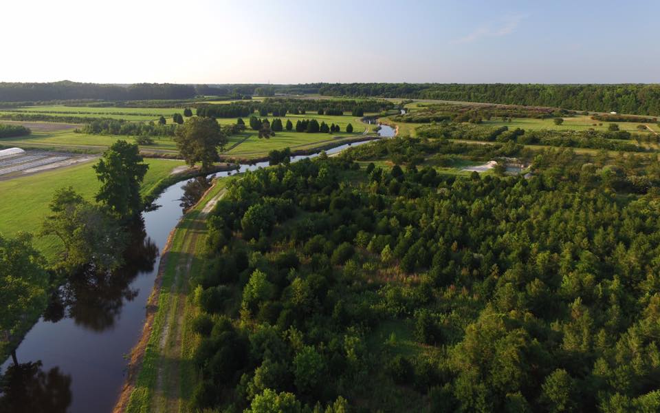 Greenbrier Farms, Aerial Photography in Chesapeake