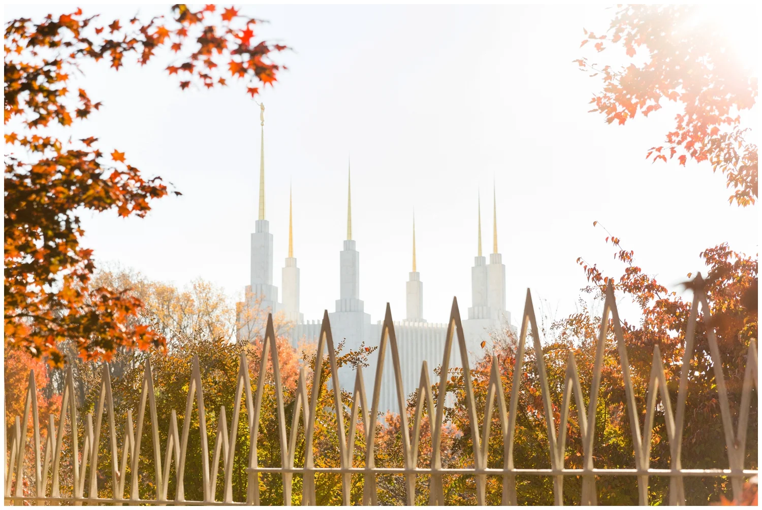 mormon_lds_washington_dc_temple_fall_wedding-1.jpeg