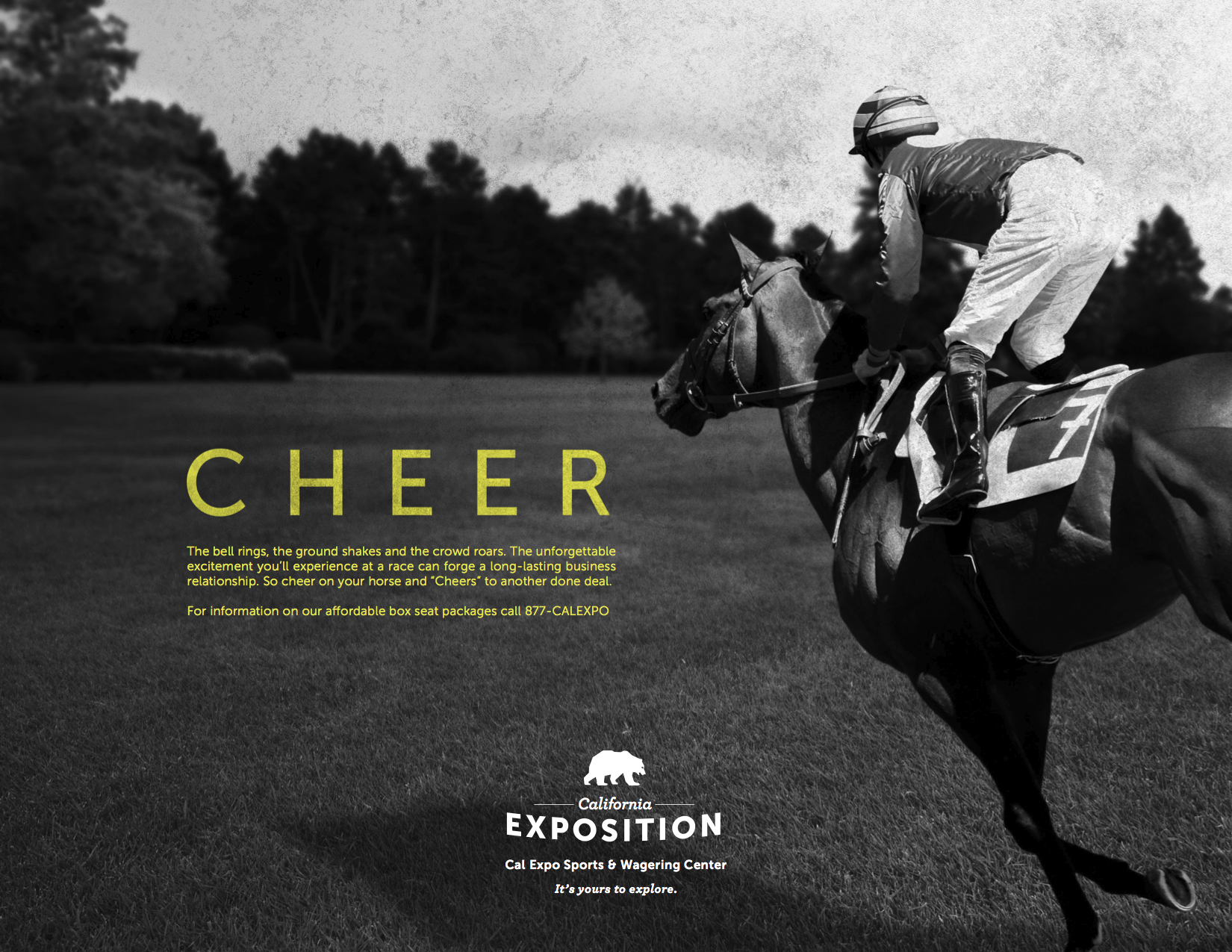 Cal Expo Brand Ad