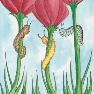 caterpillar2.jpg