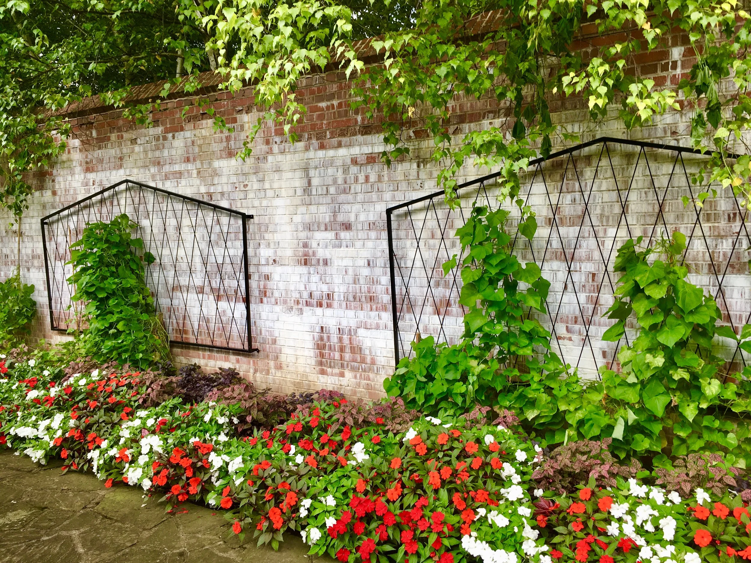 Drying Yard Trellis