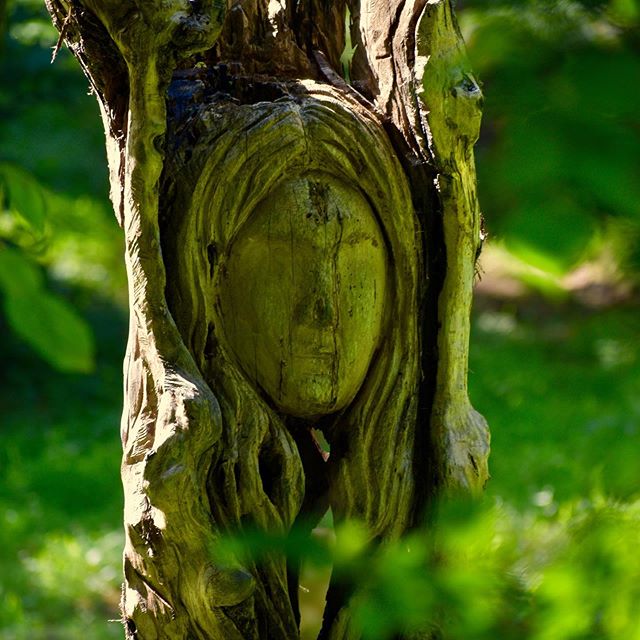 &ldquo;We don&rsquo;t come in to this world, we come out of it.&rdquo; #mothernature #sculpture #woodsculpture #chainsawcarving #chainsawsculpture #art #ohio #wood #love #earth #motherearth #nature #kutzall