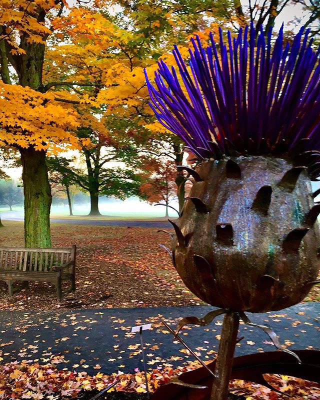 Foggy Fall Morning but the Thistle&rsquo;s still in bloom. #metalsculpture #metal #sculpture #thistle #scotland #art #akron #akronartist #fall #autumn #stanhywet