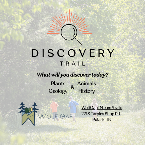 Discover and Shop What's Next