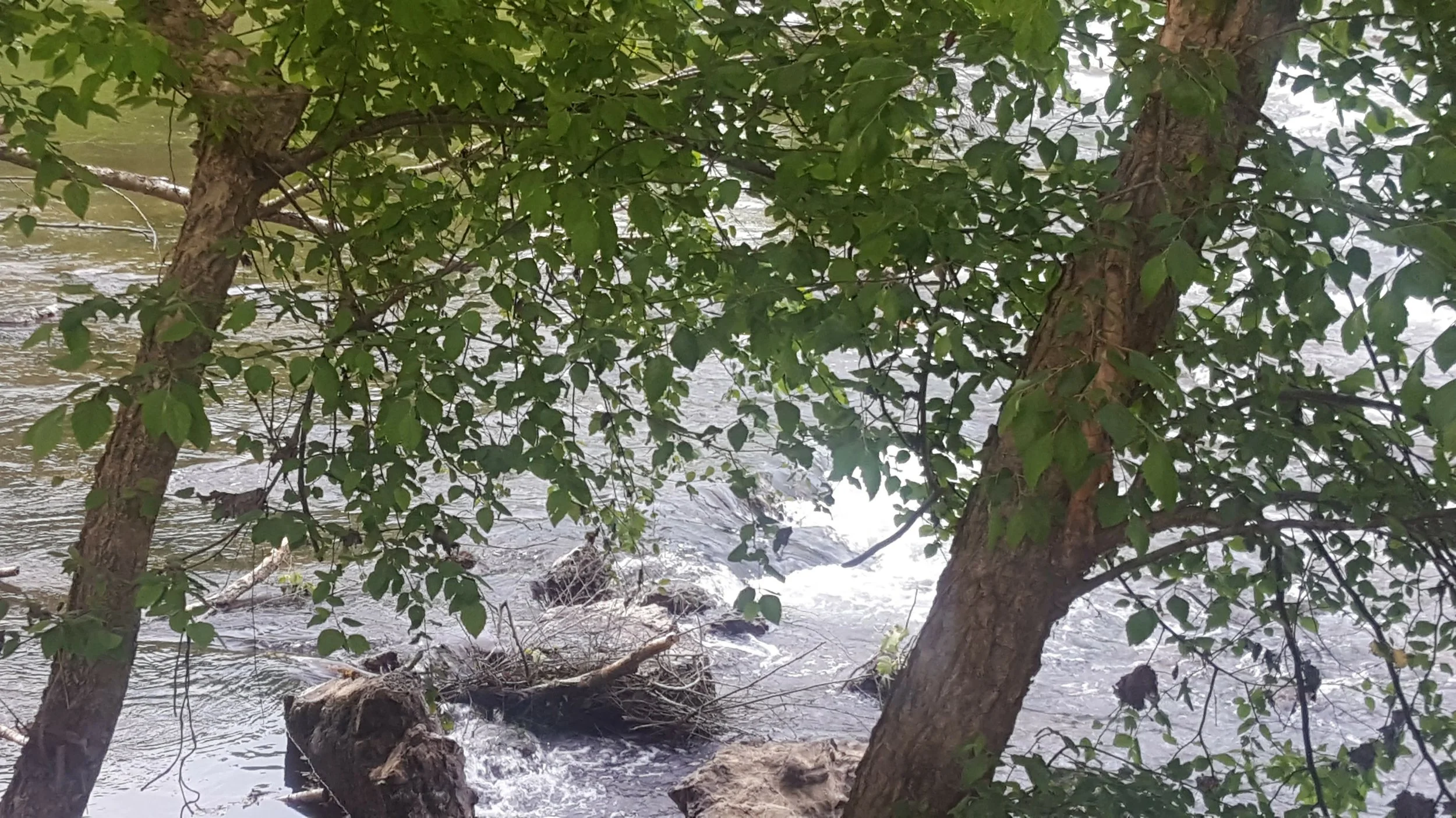 20170511_173926.jpg