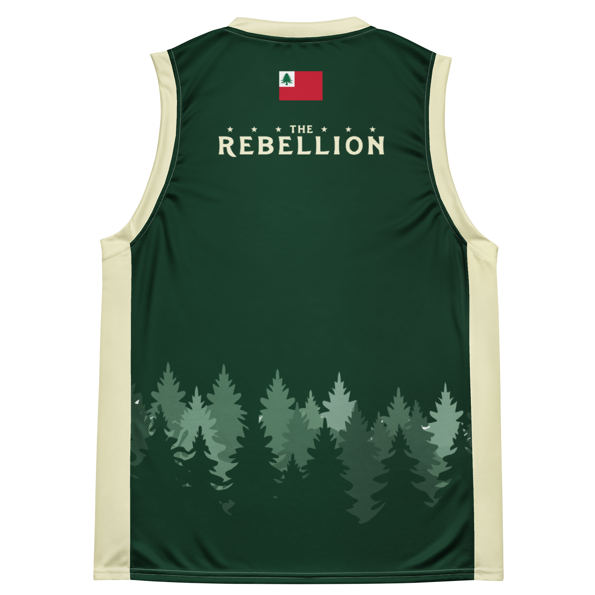 all-over-print-recycled-unisex-basketball-jersey-white-back-69e5574bf0b3e.png