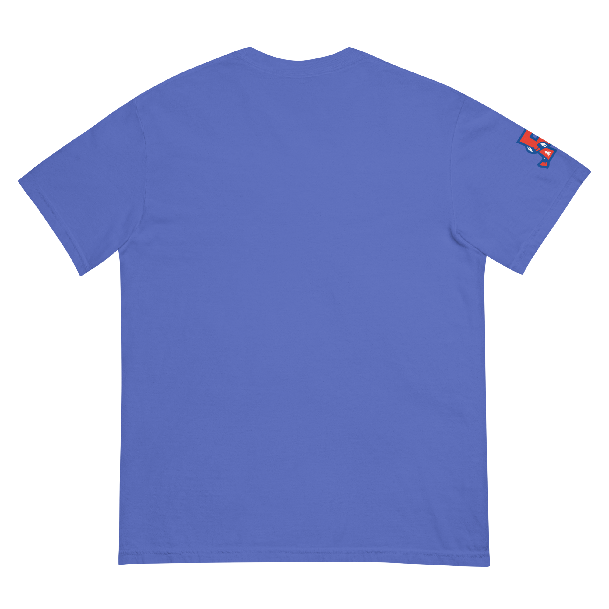 unisex-garment-dyed-heavyweight-t-shirt-flo-blue-back-69f4ca4cee381.png