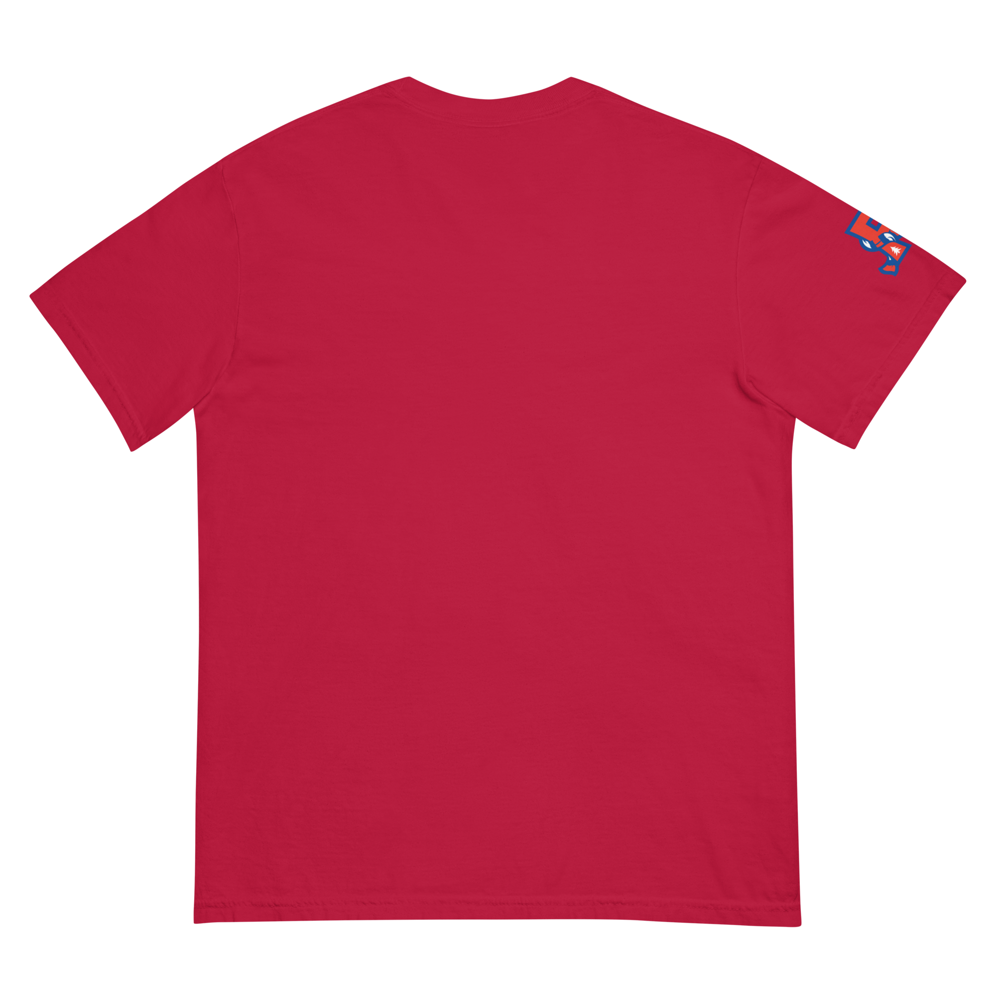 unisex-garment-dyed-heavyweight-t-shirt-red-back-69f4caa49c697.png