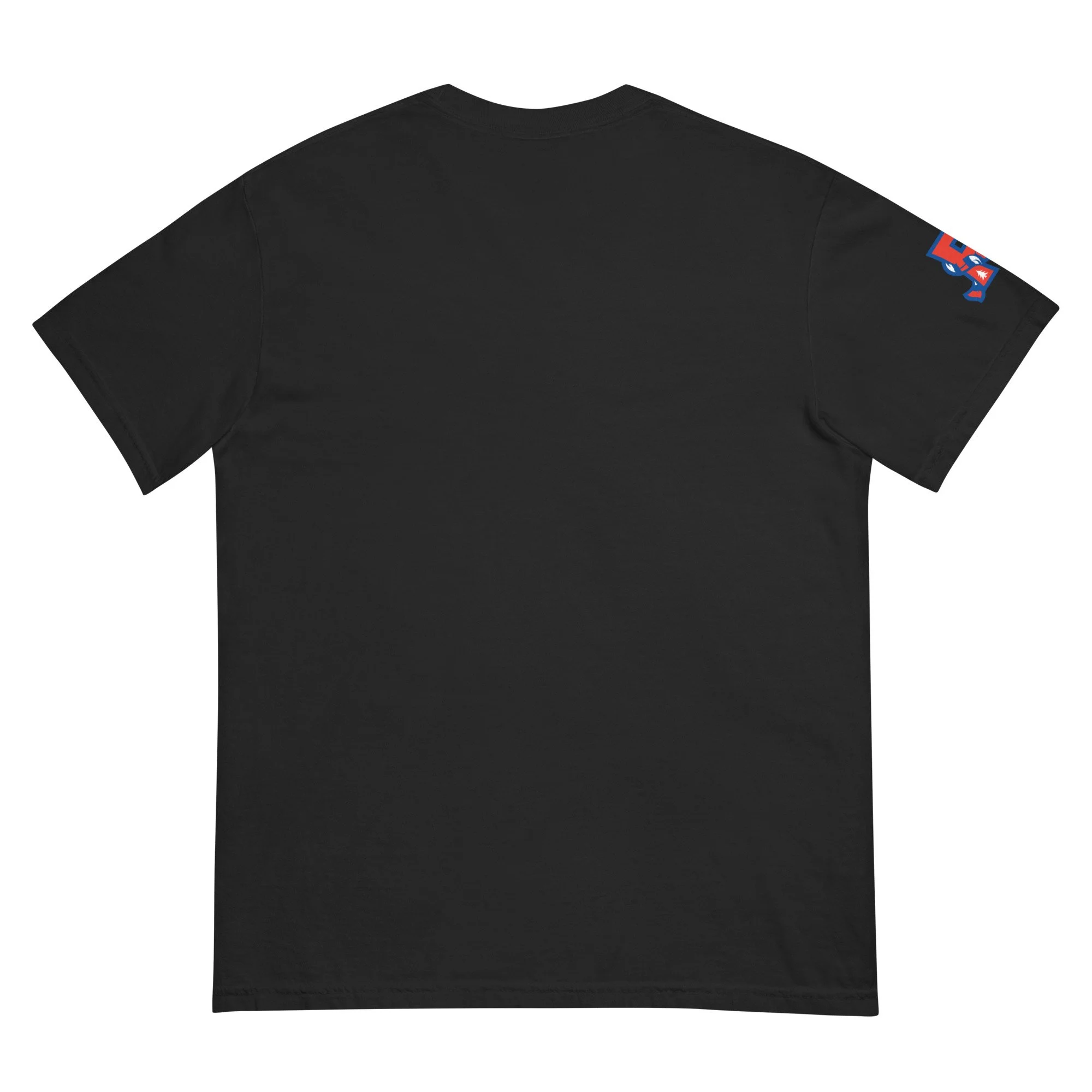 unisex-garment-dyed-heavyweight-t-shirt-black-back-69f4cb1fe2935.jpg