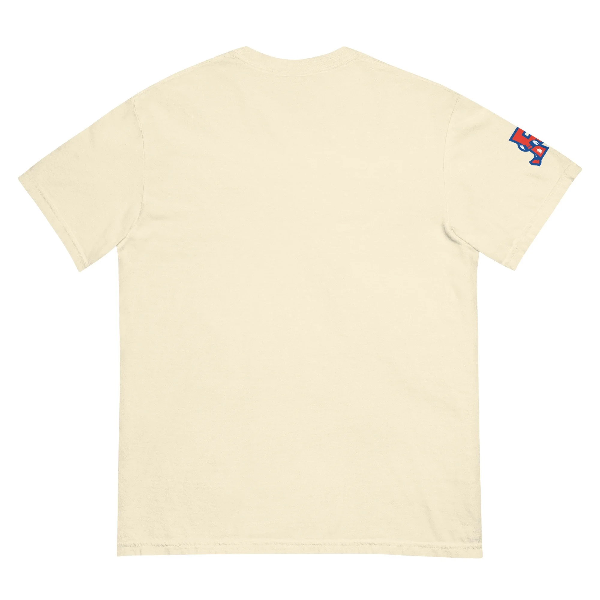 unisex-garment-dyed-heavyweight-t-shirt-ivory-back-69f4cb1fe3da9.jpg