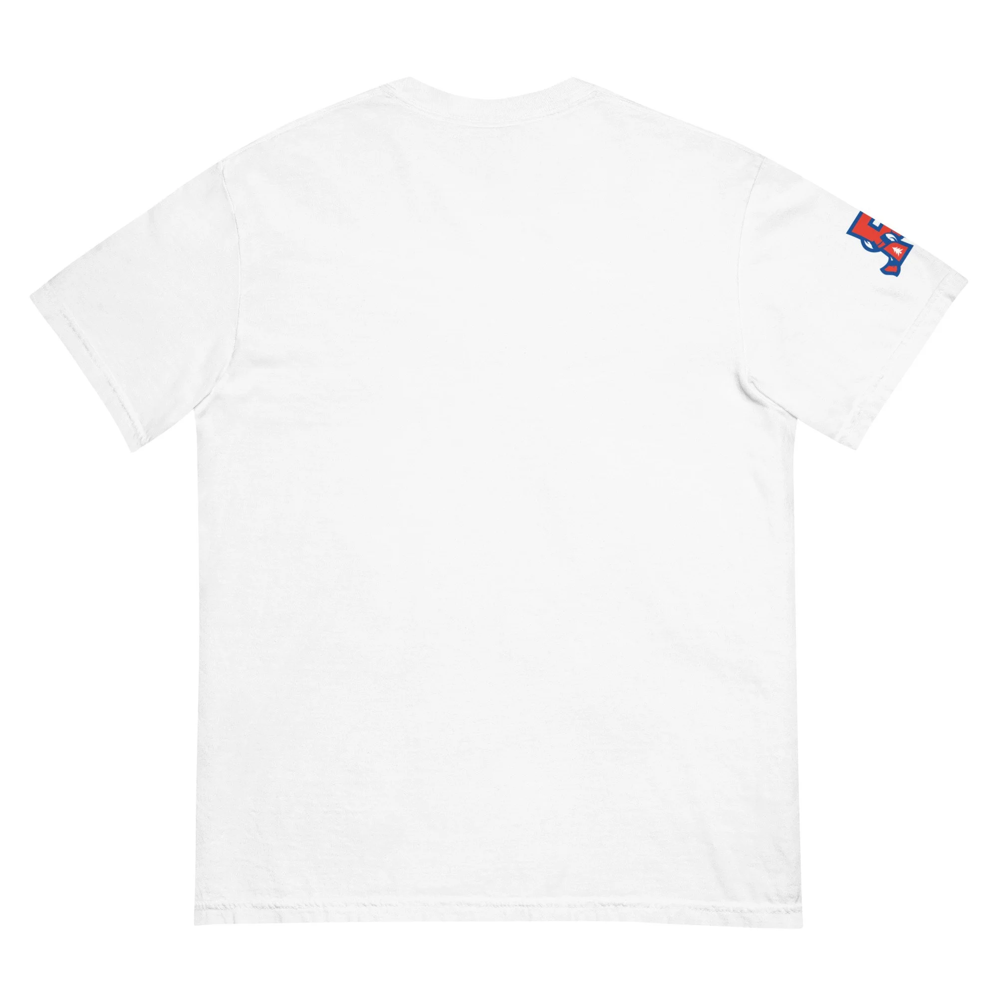 unisex-garment-dyed-heavyweight-t-shirt-white-back-69f4cb1fe6465.jpg
