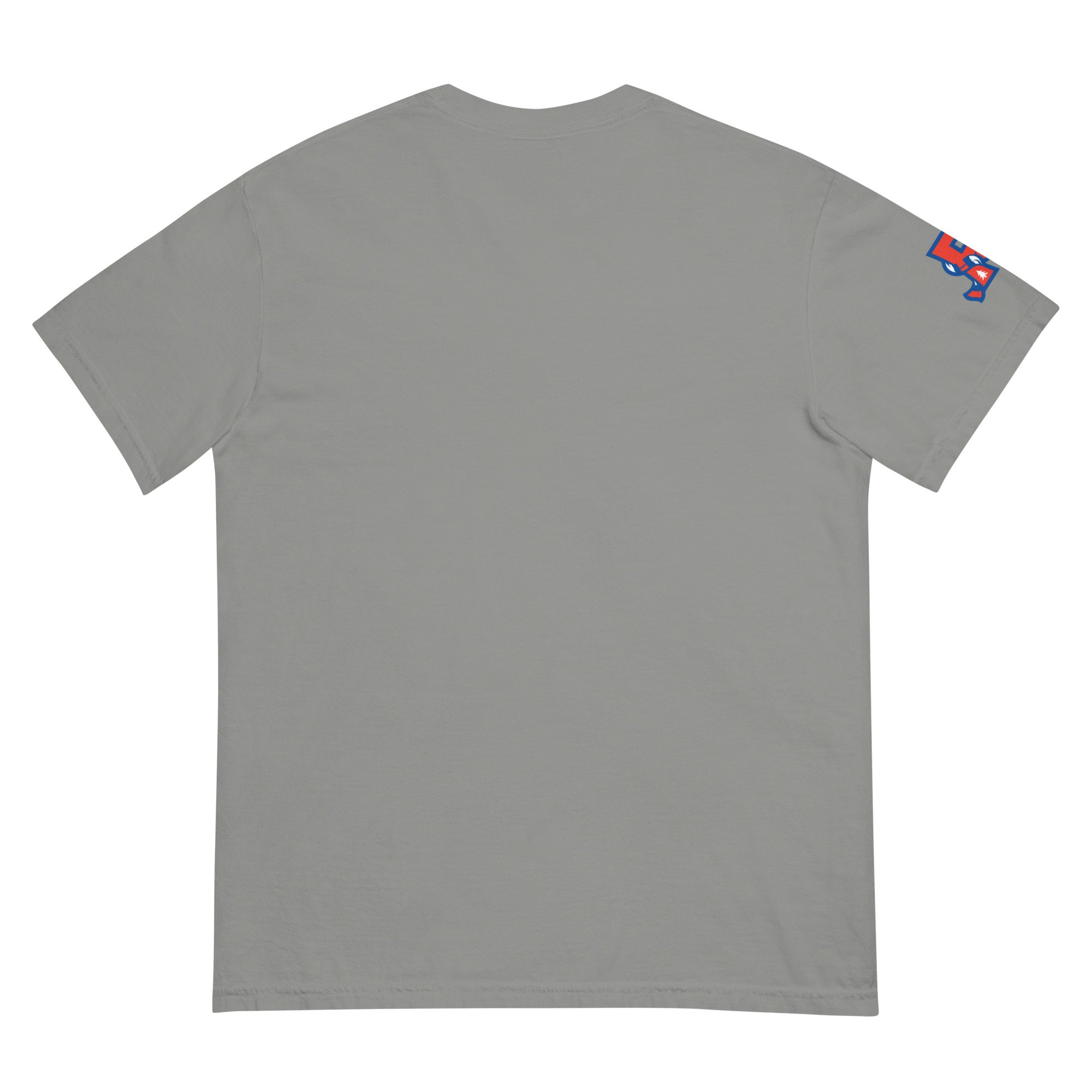unisex-garment-dyed-heavyweight-t-shirt-grey-back-69f4cb7e0cf18.jpg