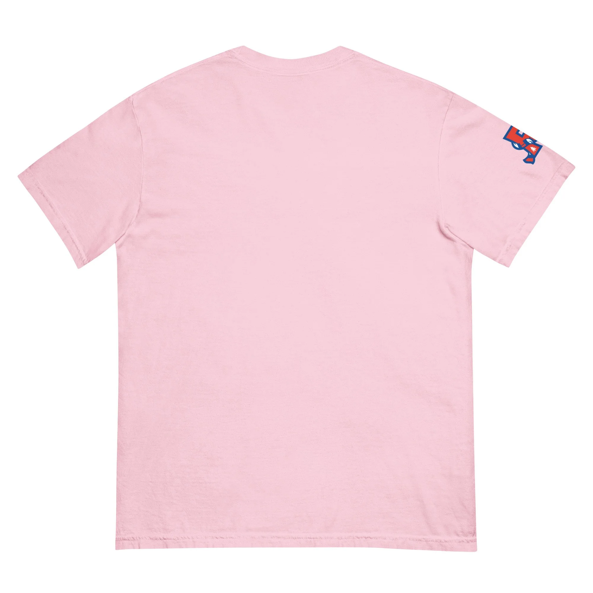 unisex-garment-dyed-heavyweight-t-shirt-blossom-back-69f4cb7e0e52d.jpg