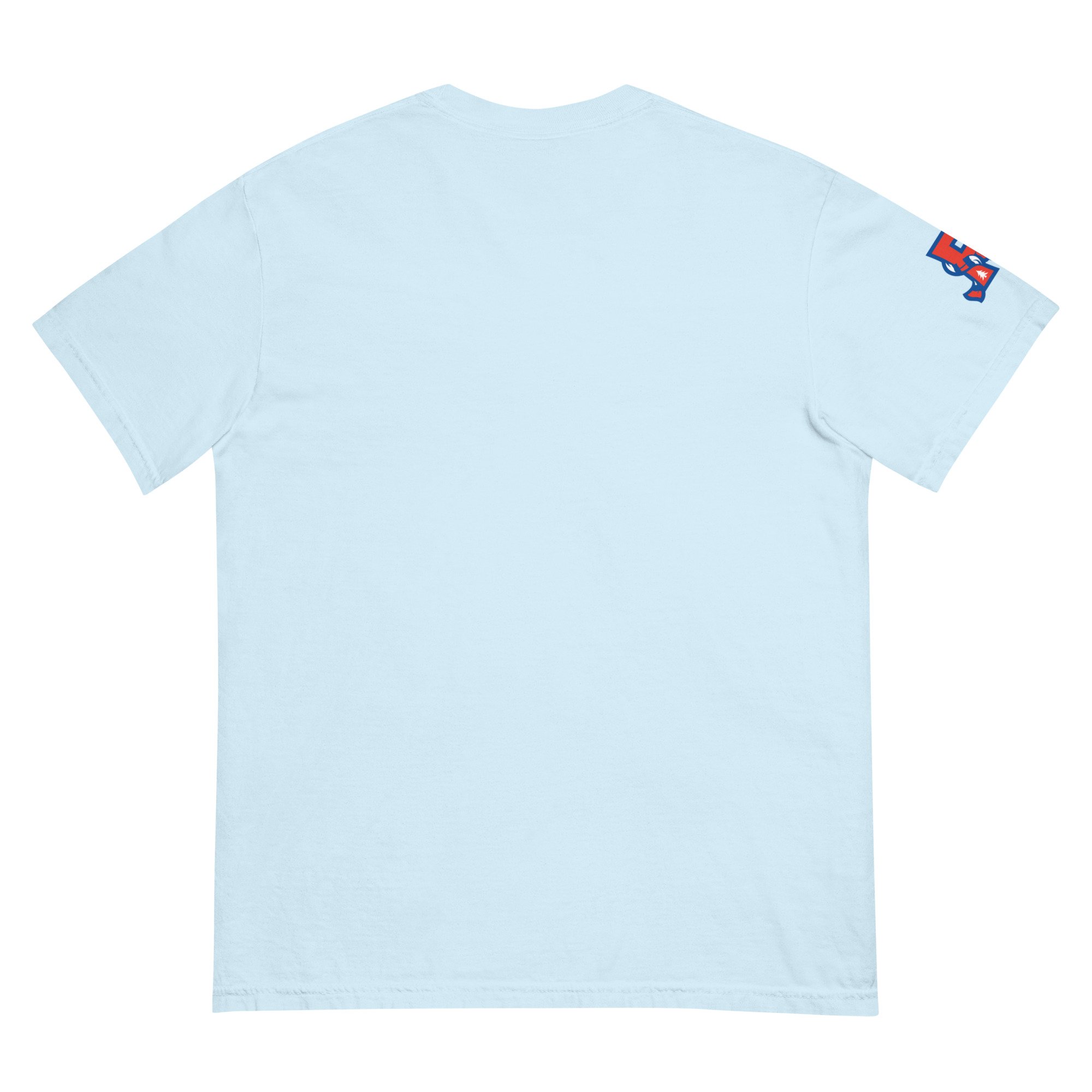 unisex-garment-dyed-heavyweight-t-shirt-chambray-back-69f4cb7e113ef.jpg