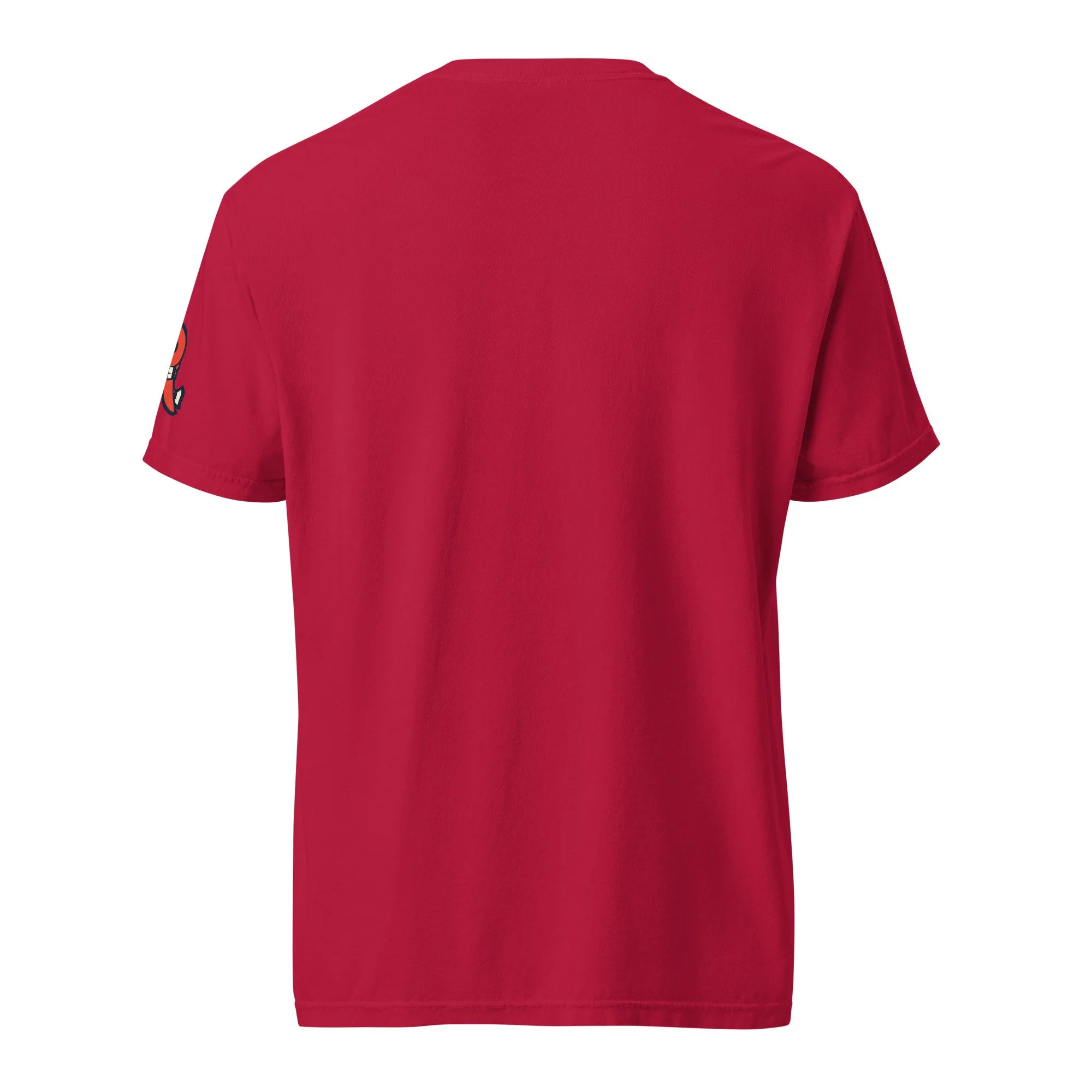unisex-garment-dyed-heavyweight-t-shirt-red-back-6ab301108d83e.jpg