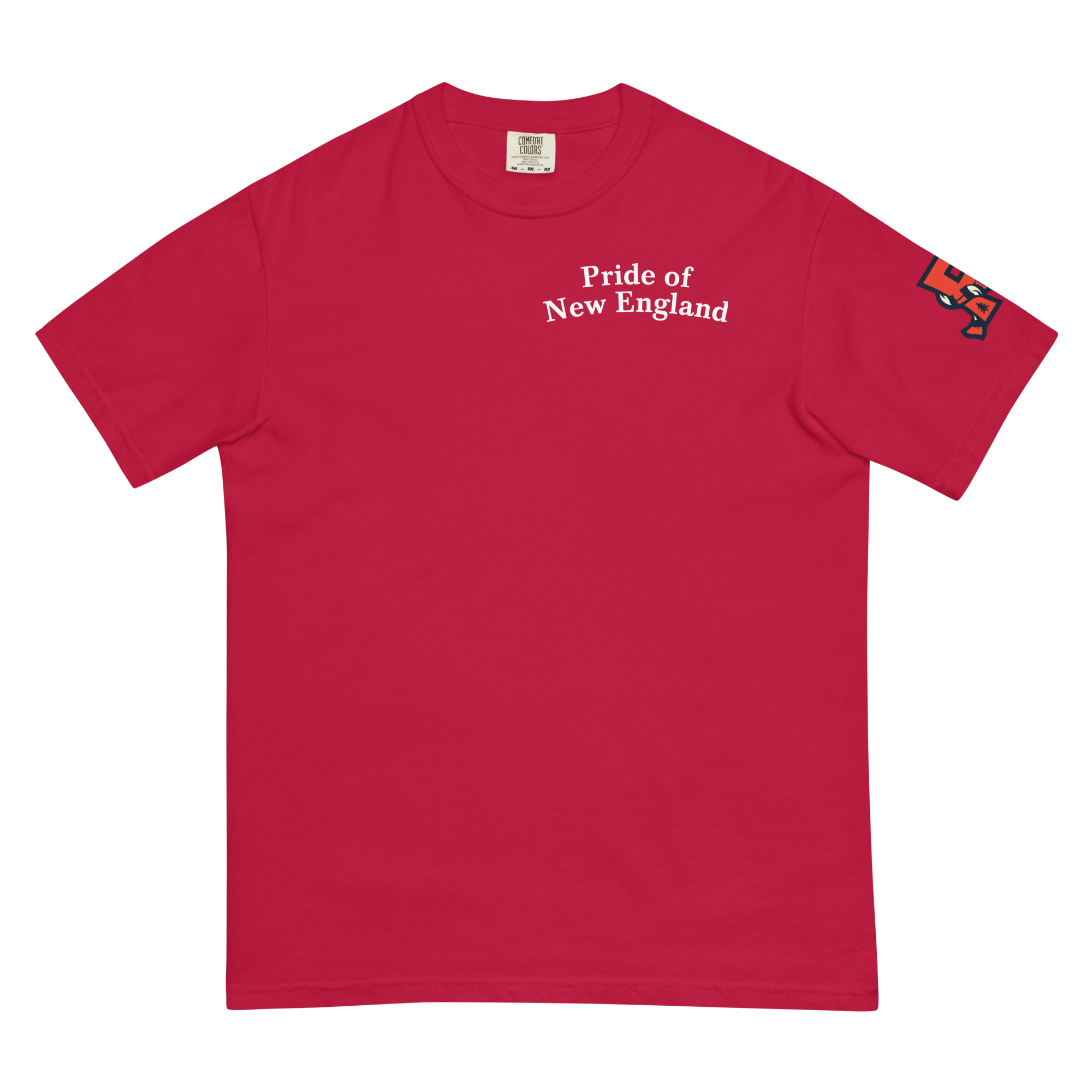 unisex-garment-dyed-heavyweight-t-shirt-red-front-6ac3dbe594962.png