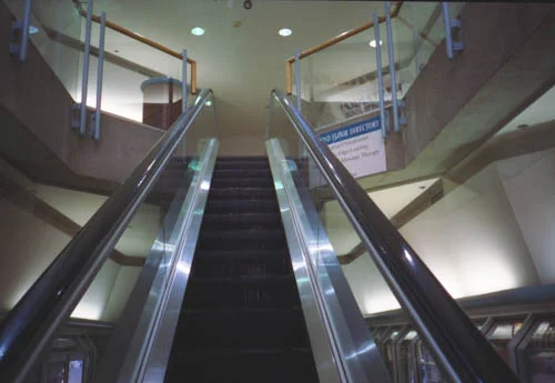 Scan 21.jpg