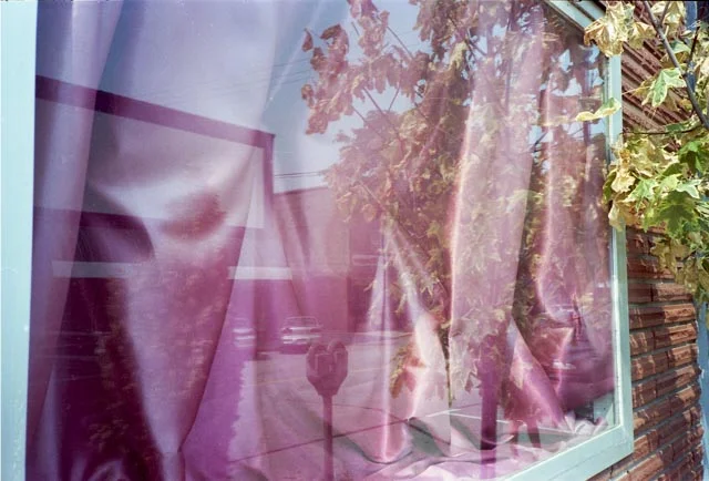 img019.jpg