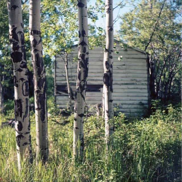 img119.jpg