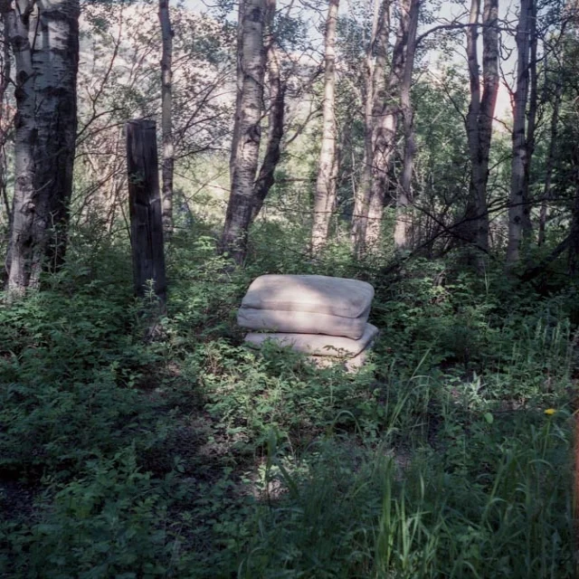 img156.jpg