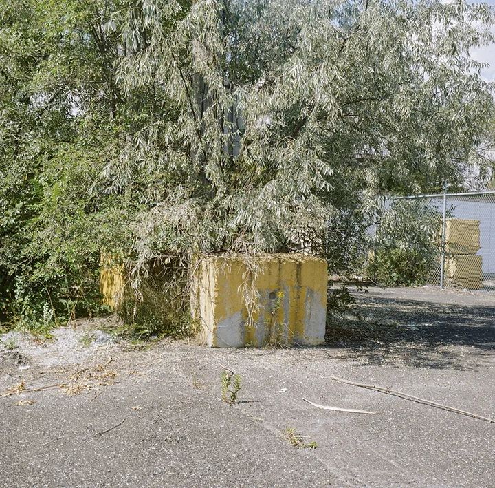 005014770012.jpg