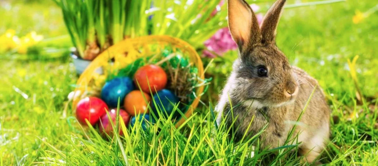 The meaning of Easter
